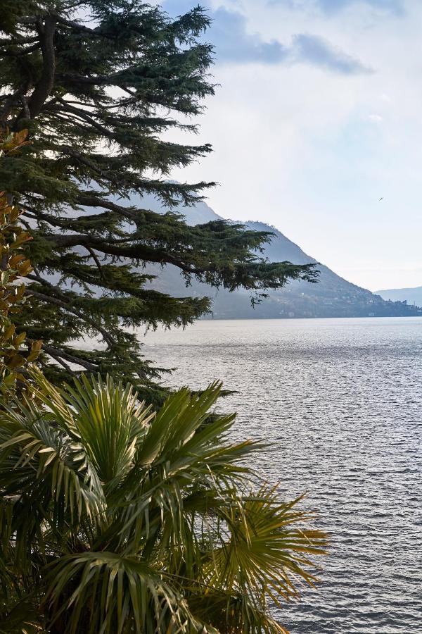 Villa Lario Lake Como Pognana Lario エクステリア 写真